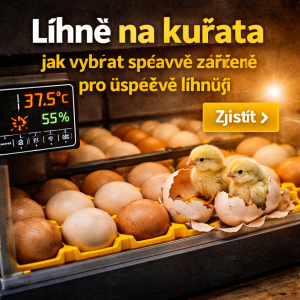 Líhně: jak vybrat správné zařízení pro úspěšné líhnutí drůbeže