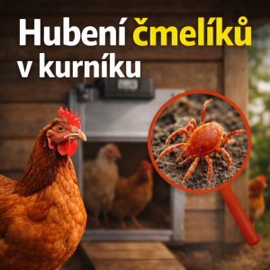 Hubení roztočů-čmelíků: jak vybrat správné řešení pro čistý a zdravý kurník