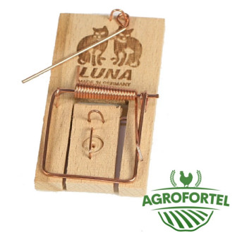 Pastička Luna