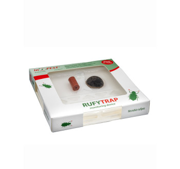 Rufy Trap - monitor na Necrobia rufipes - paličník rudonohý