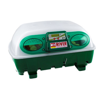 lihen na vejce river systems et 24 s dolihni drubeze 1