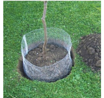 Siena Garden Košík na hraboše 3356929