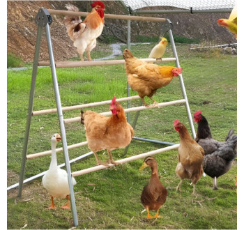 Dvojitý hřad pro slepice – nastavitelný dřevěný hřad, komplet se 7 tyčemi