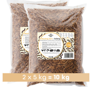 Moučný červ 10 kg