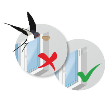 Prevence hnízdění ptáků na okně