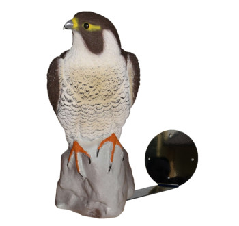 SADA FIX SOKOL - KOTVENÍ DO ZDI