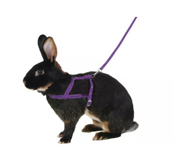 postroj a voditko pro kralika pro agility kerbl 81761 vel l 200cm