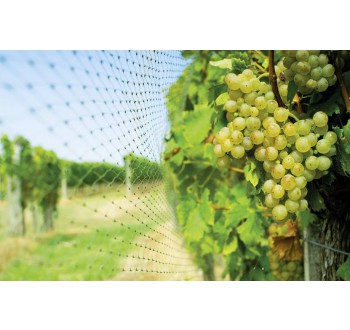 Síť na ochranu před ptáky Swissinno Natural-Control netting 5x2m 1 255 001