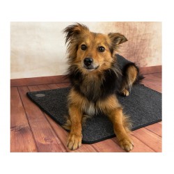 2627 1 vyhrevna podlozka pro psy thermodog 3523000 topny koberec 40x60cm