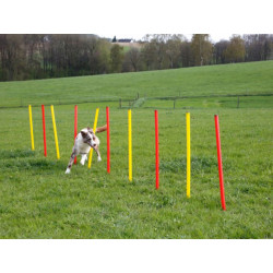 agility prekazky set 3 kerbl 07