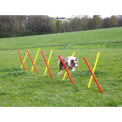 agility prekazky set 3 kerbl 08