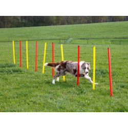 agility prekazky set 3 kerbl 09