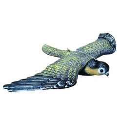 Trojrozměrná maketa dravce HARMONY - 510 mm x 350 mm