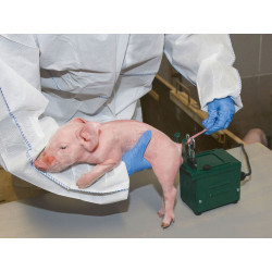 kauter na kupirovani ocasku selat kerbl elektricky s transformatorem 03
