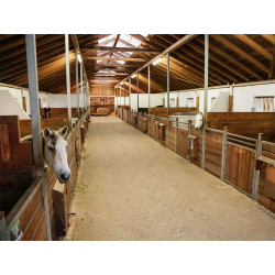 Stajove kamery 2