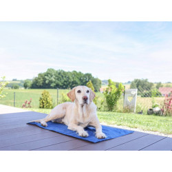 chladici podlozka pro psy KERBL 80842 COOL RELAX 3