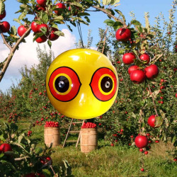 Odpuzovač ptáků balón 1 ks