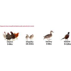 Klec pro odchov drůbeže CIMUKA GL40-03-TA