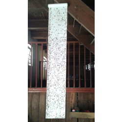 Mucholapka FlyPaper Roll 10m