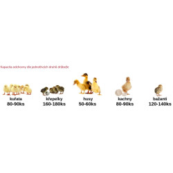 Odchovna drůbeže CIMUKA CB40-03-2K