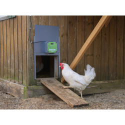 komplet automatickeho otevirani a zavirani kurniku kerbl 70592 easy protect 44x43 r 11