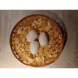 Vejce umělé velké 50 g