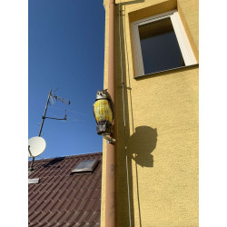 Plašič ptáků Sova - 3D maketa, 40 cm, kotvení na svod okapu, rotující hlava 360 °