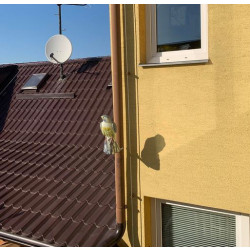 Plašič ptáků Sokol - 3D maketa, 45 cm, kotvení na svod okapu