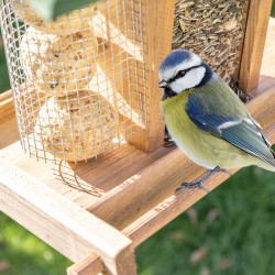Dřevěné ptačí krmítko Bird Dream