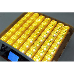 Automatická digitální líheň YZ56S s LED držáky. Pro 56 vajec.