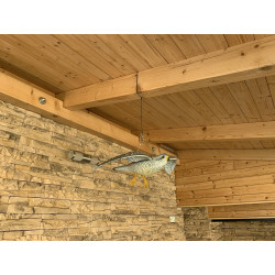 Trojrozměrná maketa dravce - poštolka 56 cm