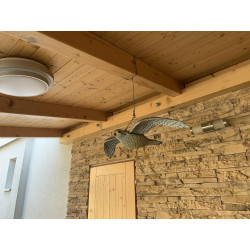 Trojrozměrná maketa dravce - poštolka 56 cm