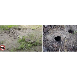 Gardigo past na hraboše 4 ks 2435110