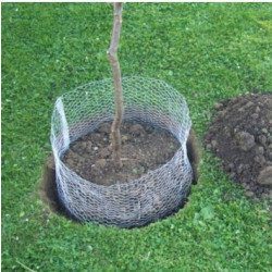 Siena Garden Košík na hraboše 3356929