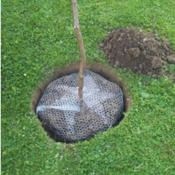 Siena Garden Košík na hraboše 3356929