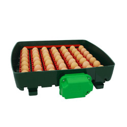 Automatická digitální líheň kuřat, drůbeže COVINA ET 49 s dolíhní.