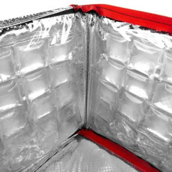 Termotaška ICECUBE 4 NEW 12l