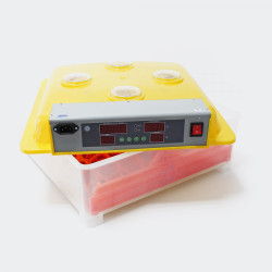 Automatická digitální líheň WQ-36. Pro 36/144 vajec.