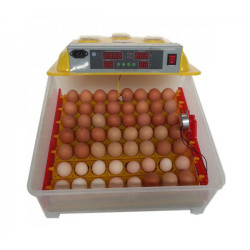 Automatická digitální líheň WQ-56. Pro 56 vajec