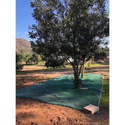 Síť na sběr plodů a listů 4 x 4 m