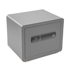 Trezor G21 na otisk prstu 380x310x300mm