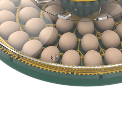 Automatická líheň na drůbež AGROFORTEL 52H – pro 52 vajec