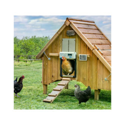 komplet automatickeho otevirani a zavirani kurniku chicken guard all in one solar 2