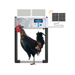 komplet automatickeho otevirani a zavirani kurniku chicken guard all in one solar 3