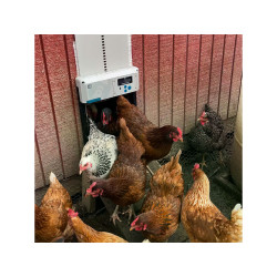 komplet automatickeho otevirani a zavirani kurniku chicken guard all in one solar 6