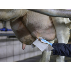 uterky na vemena kerbl 15798 stimuclean 25x19 2cm 2x780 utrzku s kartonovym jadrem sede 2