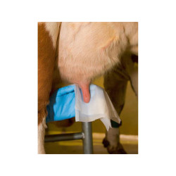 vlhcene uterky na vemena kerbl 15815 udderoclean 20x20cm 1000 utrzk u kbelik s vikem 4