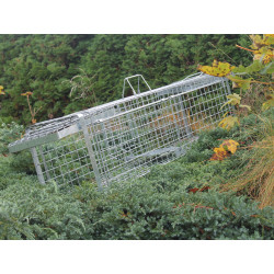 profesionalni odchytova past na kuny kocky a male psy h80x26x30 11