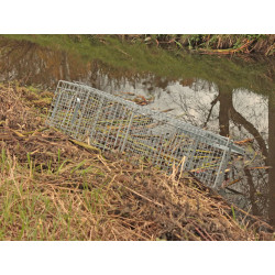 profesionalni odchytova past na kuny kocky a male psy h80x26x30 12