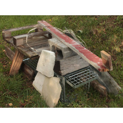 profesionalni odchytova past na kuny kocky a male psy h80x26x30 13